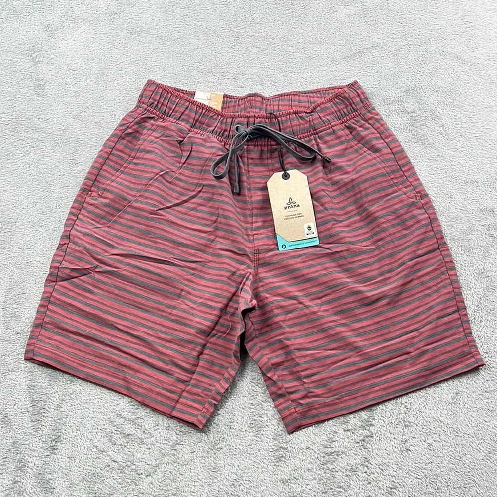 NEW Prana S Metric E-Waist Short Rust Stripe‎ Men's Striped Red Shorts